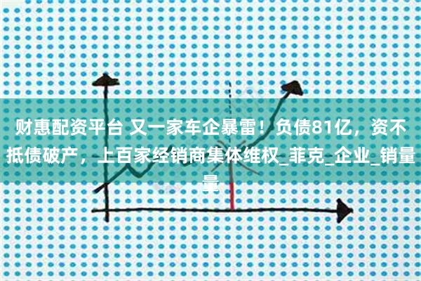 财惠配资平台 又一家车企暴雷!负债81亿,资不抵债破产,上百家经销商集体维权_菲克_企业_销量