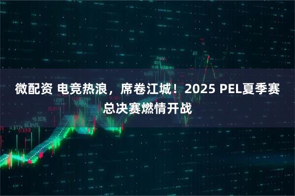 微配资 电竞热浪，席卷江城！2025 PEL夏季赛总决赛燃情开战