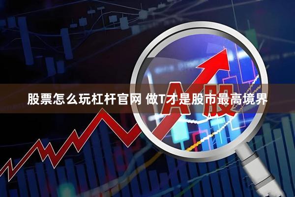 股票怎么玩杠杆官网 做T才是股市最高境界